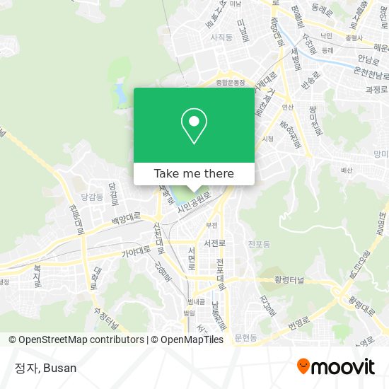 정자 map