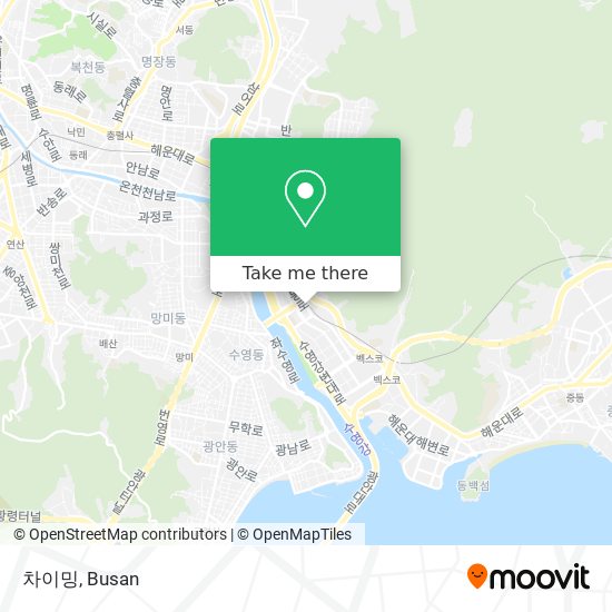 차이밍 map