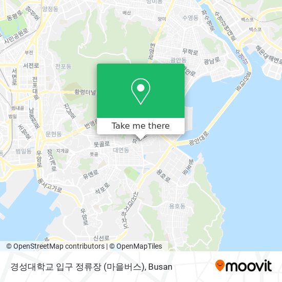 경성대학교 입구 정류장 (마을버스) map