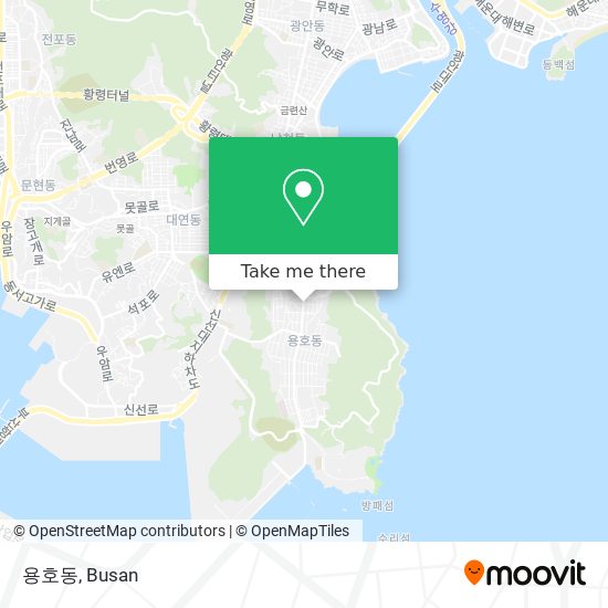 용호동 map