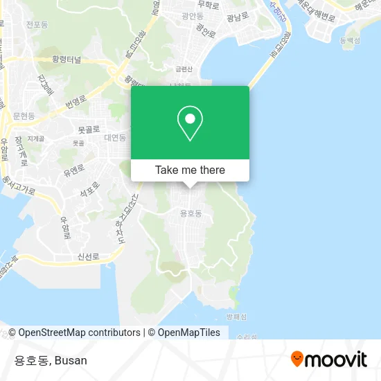 용호동 map