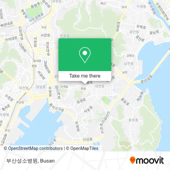 부산성소병원 map