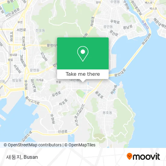 새둥지 map