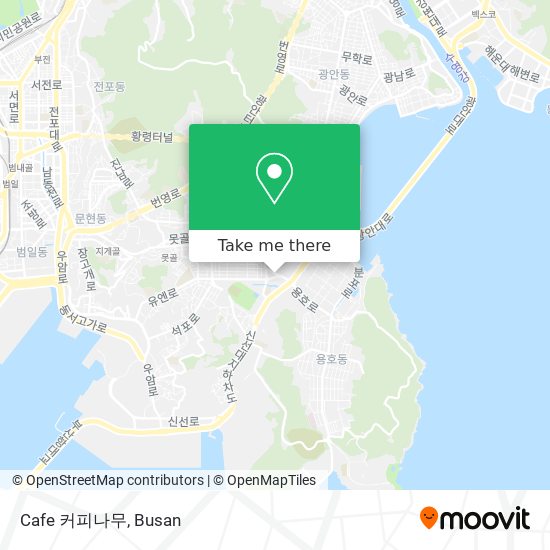Cafe 커피나무 map