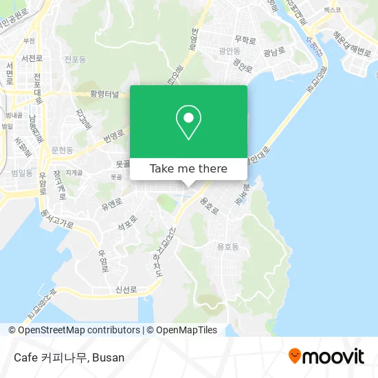 Cafe 커피나무 map