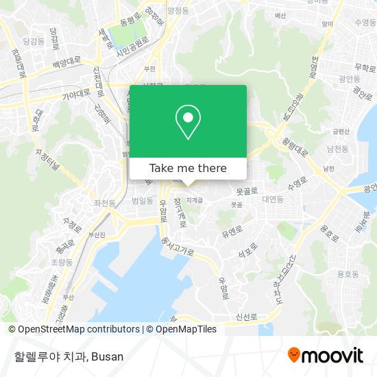 할렐루야 치과 map