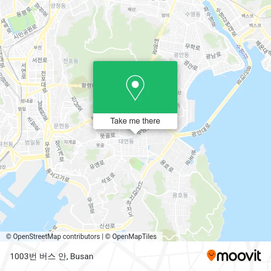 1003번 버스 안 map