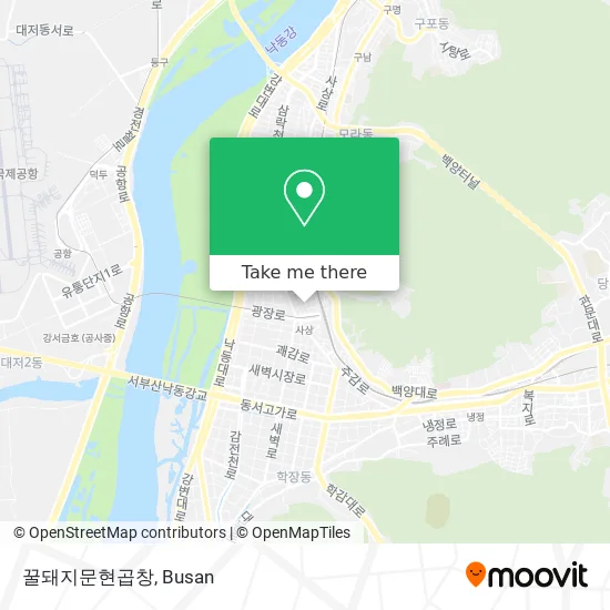 꿀돼지문현곱창 map