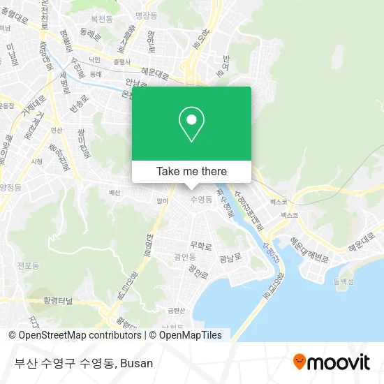 부산 수영구 수영동 map