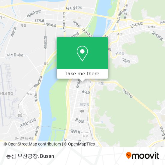 농심 부산공장 map