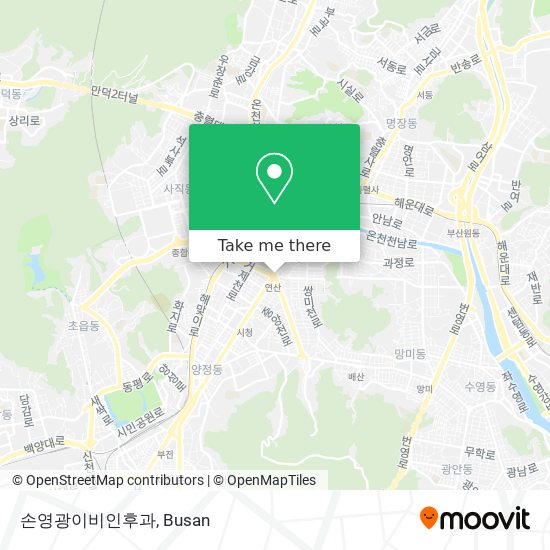 손영광이비인후과 map