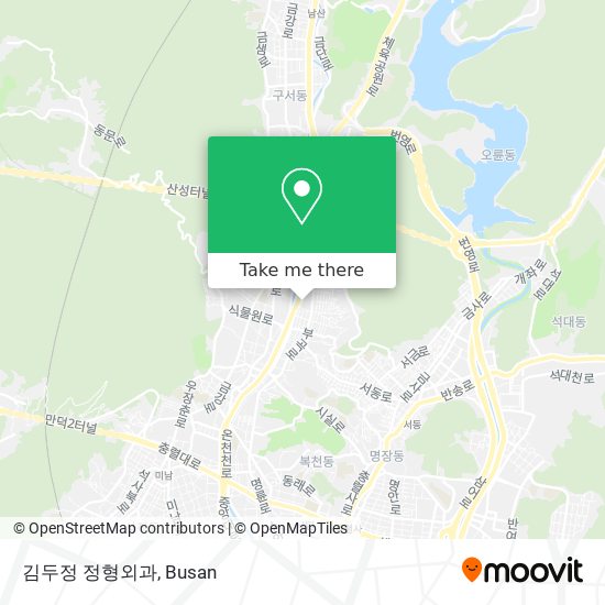 김두정 정형외과 map