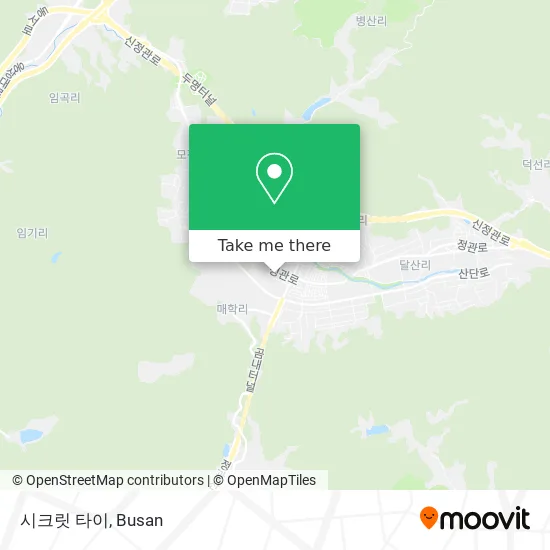 시크릿 타이 map