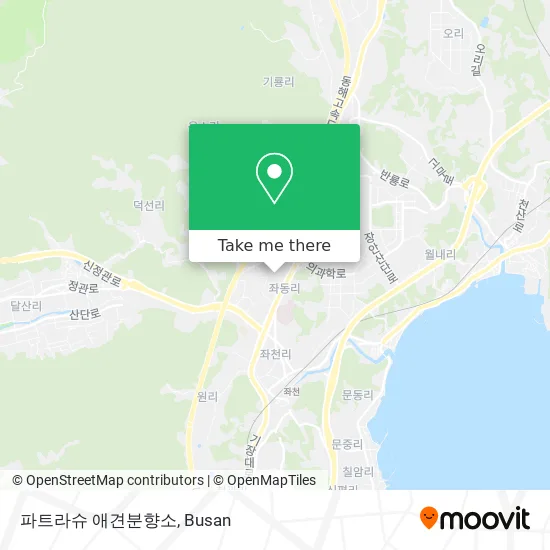 파트라슈 애견분향소 map