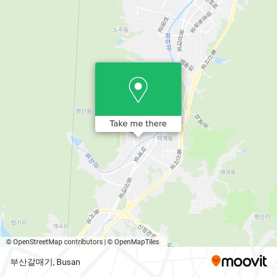 부산갈매기 map