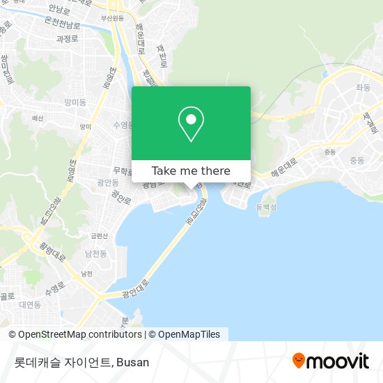 롯데캐슬 자이언트 map