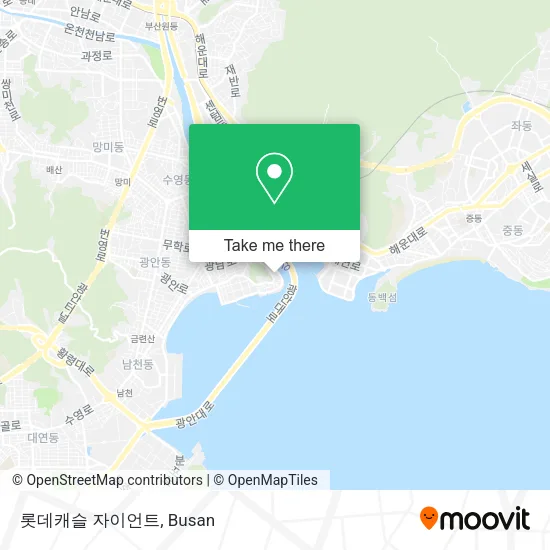 롯데캐슬 자이언트 map