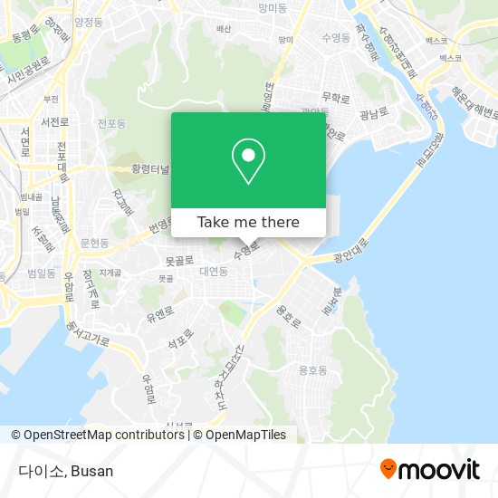 다이소 map