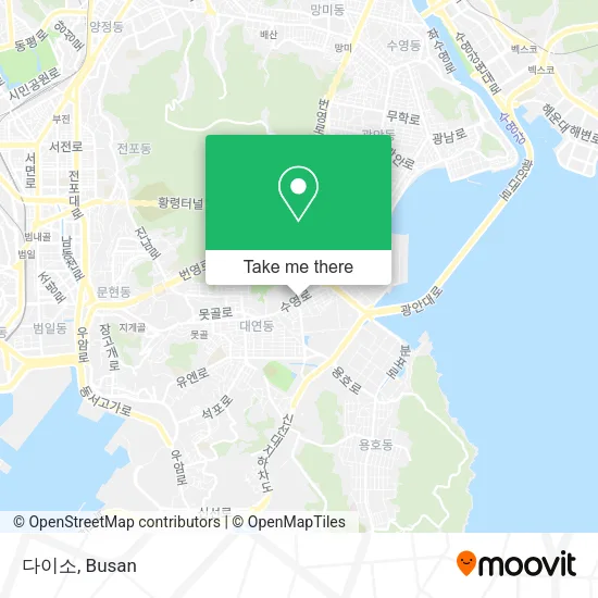 다이소 map