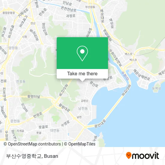 부산수영중학교 map