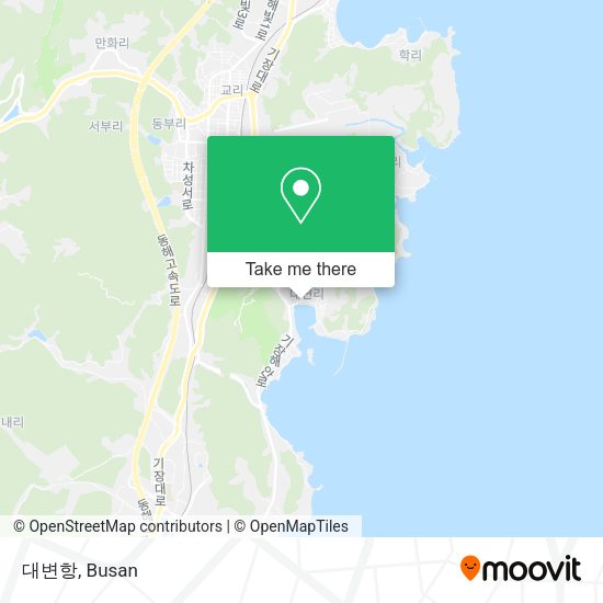 대변항 map