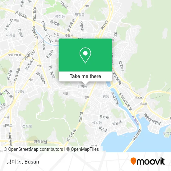 망미동 map