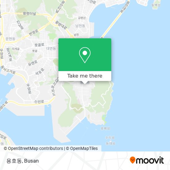 용호동 map