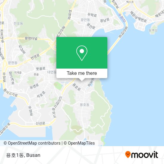 용호1동 map