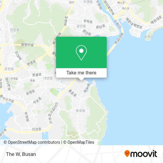 The W map