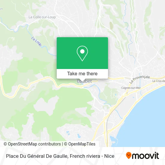 Place Du Général De Gaulle map