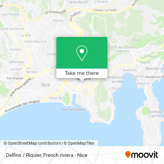 Delfino / Riquier map
