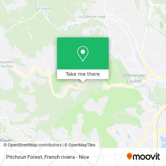 Pitchoun Forest map