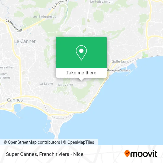 Super Cannes map