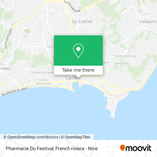 Pharmacie Du Festival map