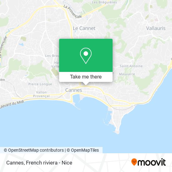 Cannes map