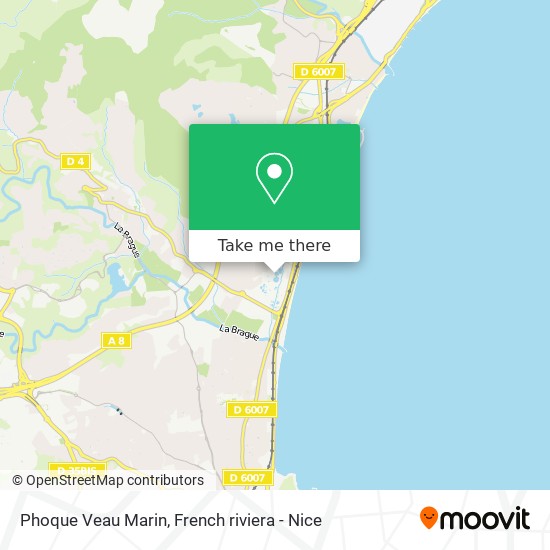 Mapa Phoque Veau Marin