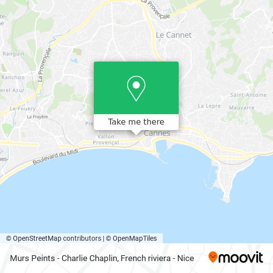 Murs Peints - Charlie Chaplin map