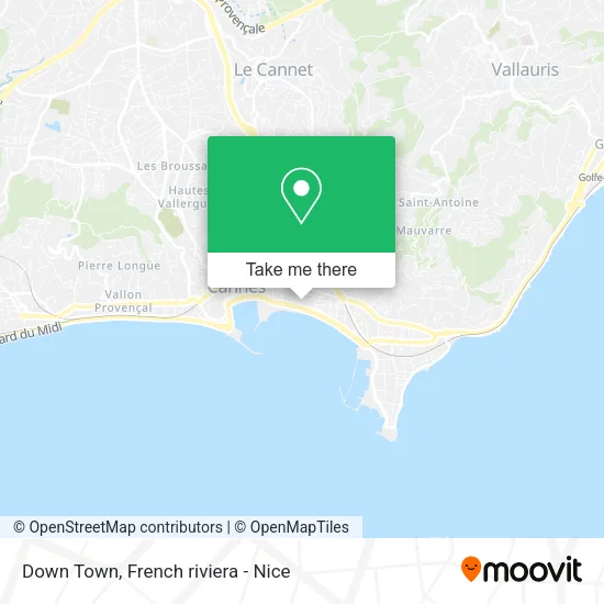 Down Town map