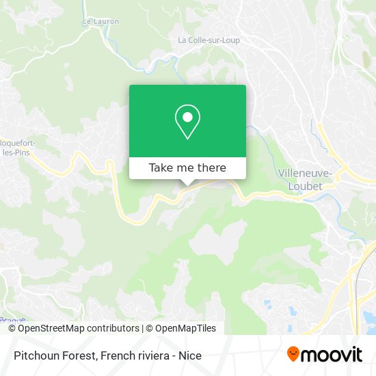 Mapa Pitchoun Forest