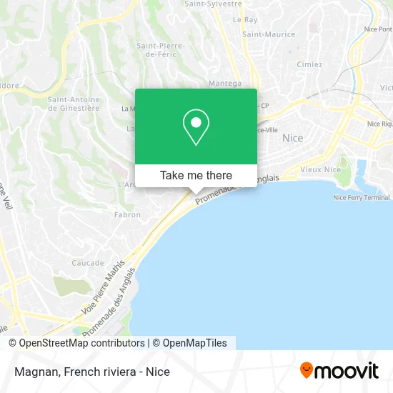 Magnan map