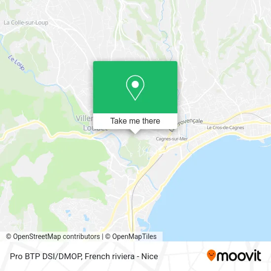 Pro BTP DSI/DMOP map