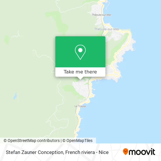 Stefan Zauner Conception map