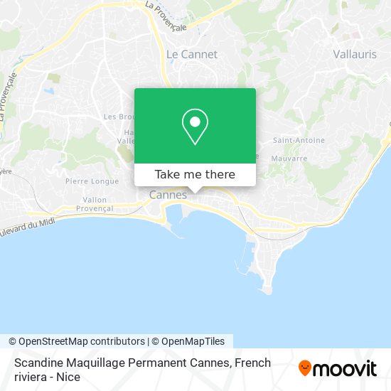 Mapa Scandine Maquillage Permanent Cannes