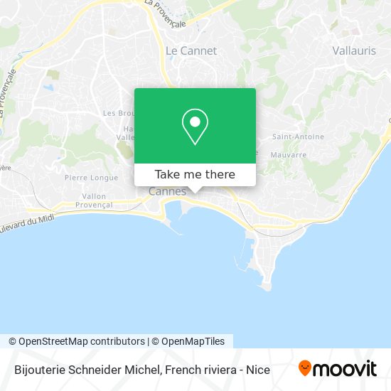 Bijouterie Schneider Michel map