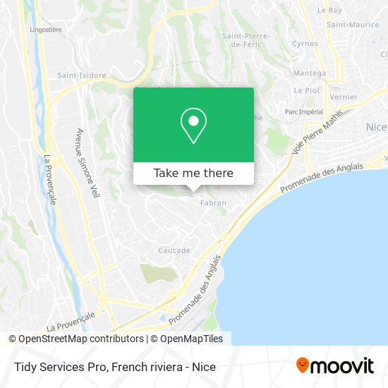 Mapa Tidy Services Pro