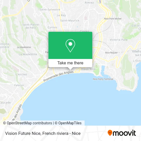 Vision Future Nice map