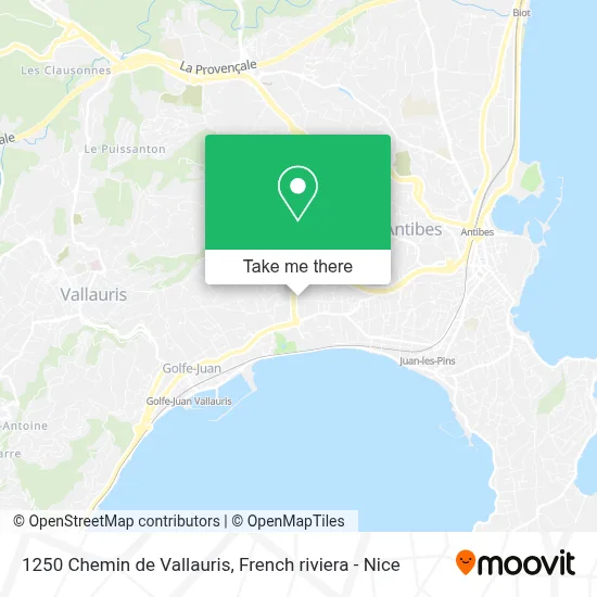 1250 Chemin de Vallauris map