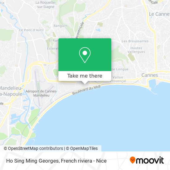 Ho Sing Ming Georges map