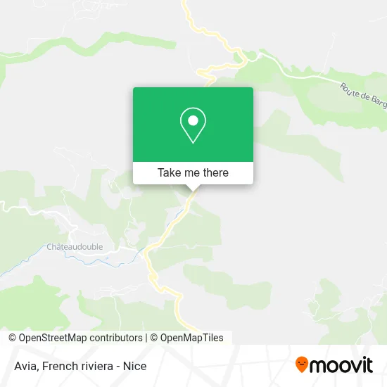 Avia map