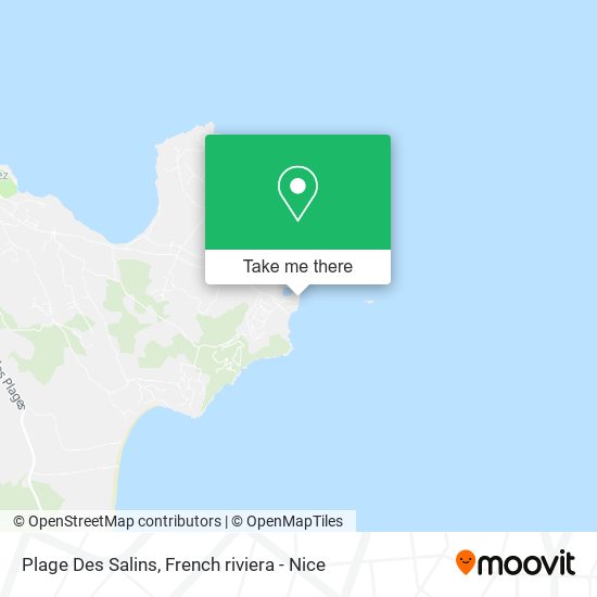 Plage Des Salins map